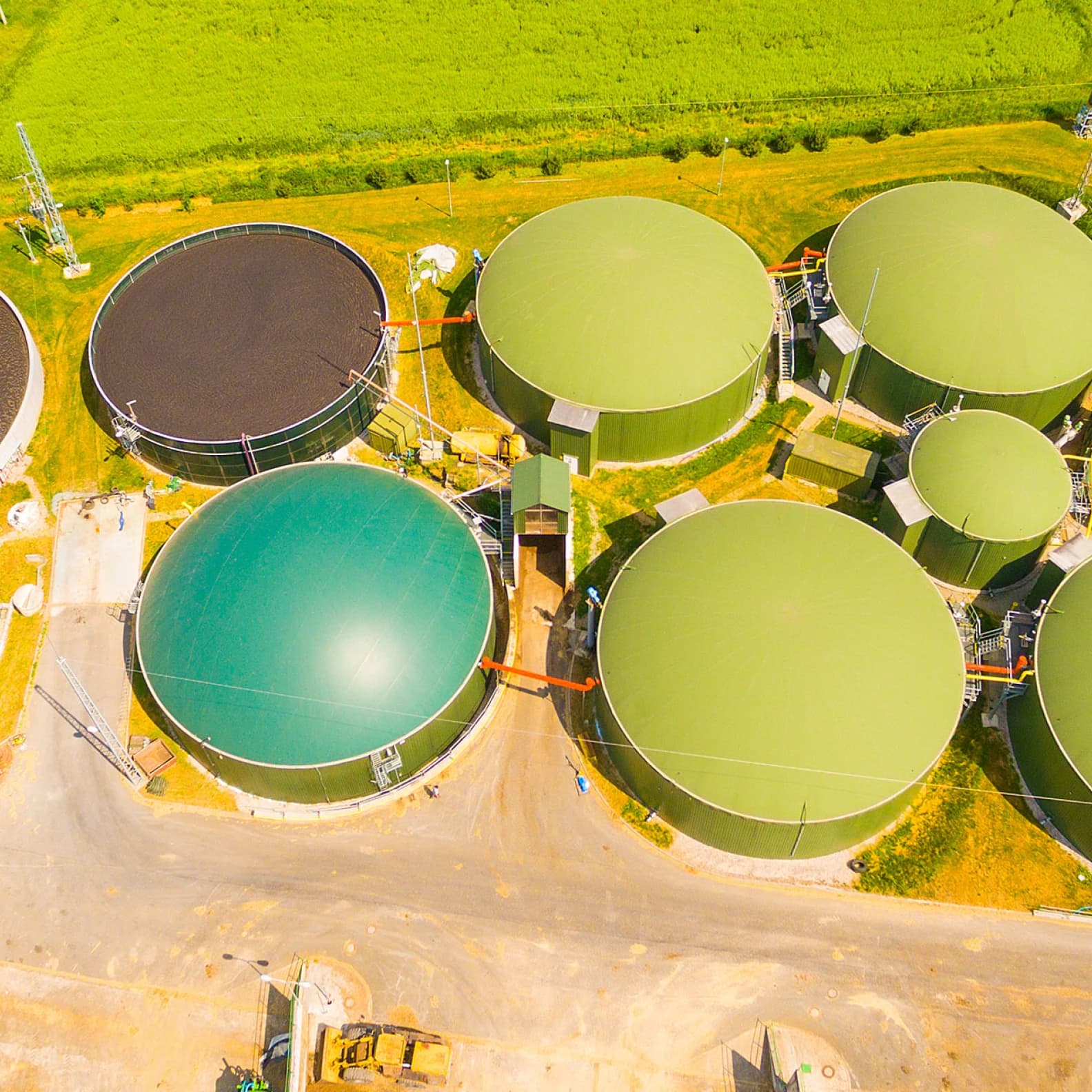 Biomethane action plan could meet half of NZ’s natural gas demand by 2050